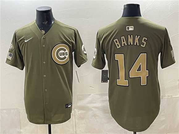 Men%27s Chicago Cubs #14 Ernie Banks Royal Olive 2026 Armed Forces Day Salute To Service Stitched Jersey Dzhi