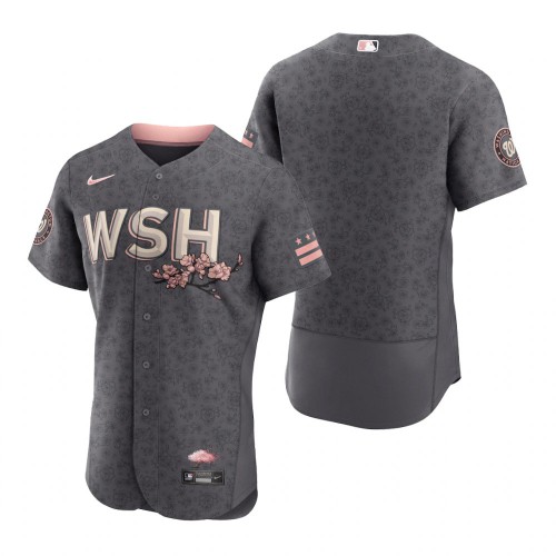 Washington Washington Nationals Blank Men’s Nike Authentic Gray 2022 City Connect Jersey Men’s->washington nationals->MLB Jersey