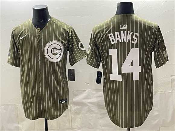 Mens Chicago Cubs #14 Ernie Banks Pinstripe Olive 2026 Armed Forces Day Salute To Service Stitched Jersey Dzhi