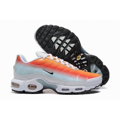 china cheap Nike Air Max Plus TN shoes