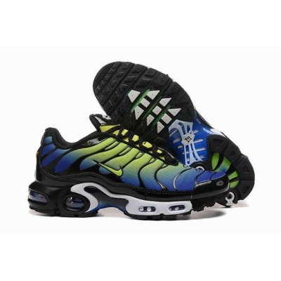 china cheap Nike Air Max Plus TN shoes